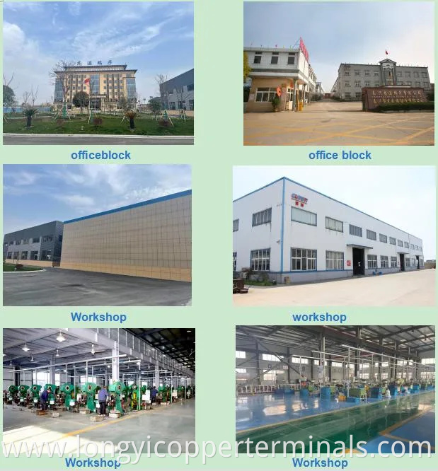 We Are Specialized in Producing and Selling Insulated Terminals